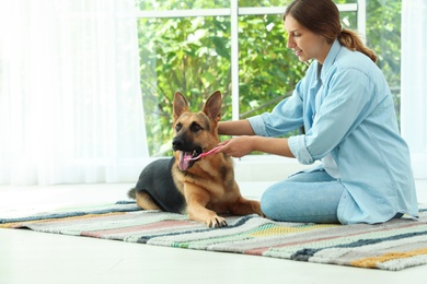 Photo of Woman cleaning dog's teeth with toothbrush indoors. Pet care