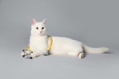 Photo of Cute cat with stethoscope as veterinarian on grey background