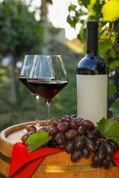 Composition with wine and ripe grapes on barrel in vineyard