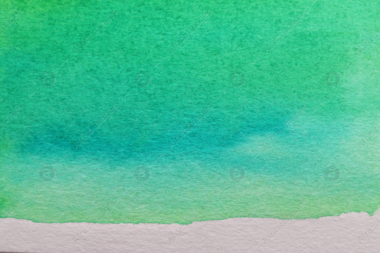 Photo of Abstract green watercolor paint on white canvas, top view