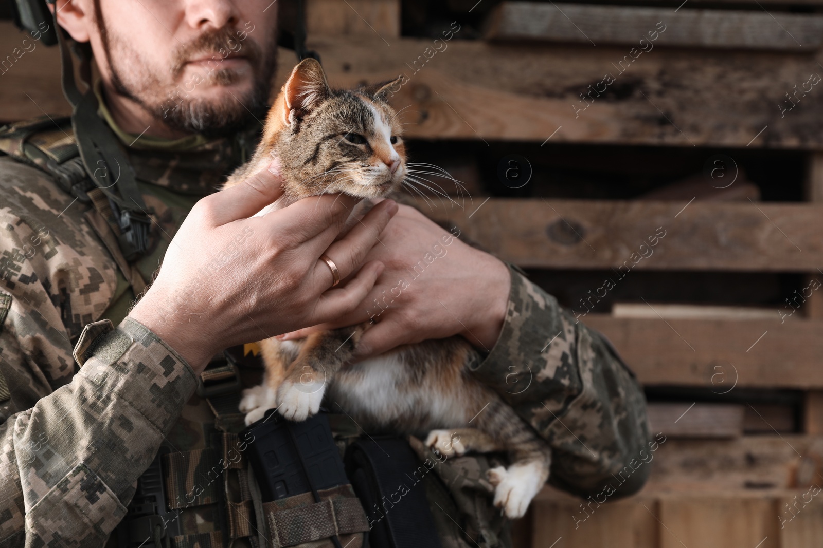 Photo of Ukrainian soldier with stray cat outdoors, closeup. Space for text