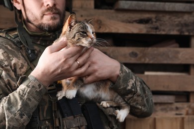 Ukrainian soldier with stray cat outdoors, closeup. Space for text
