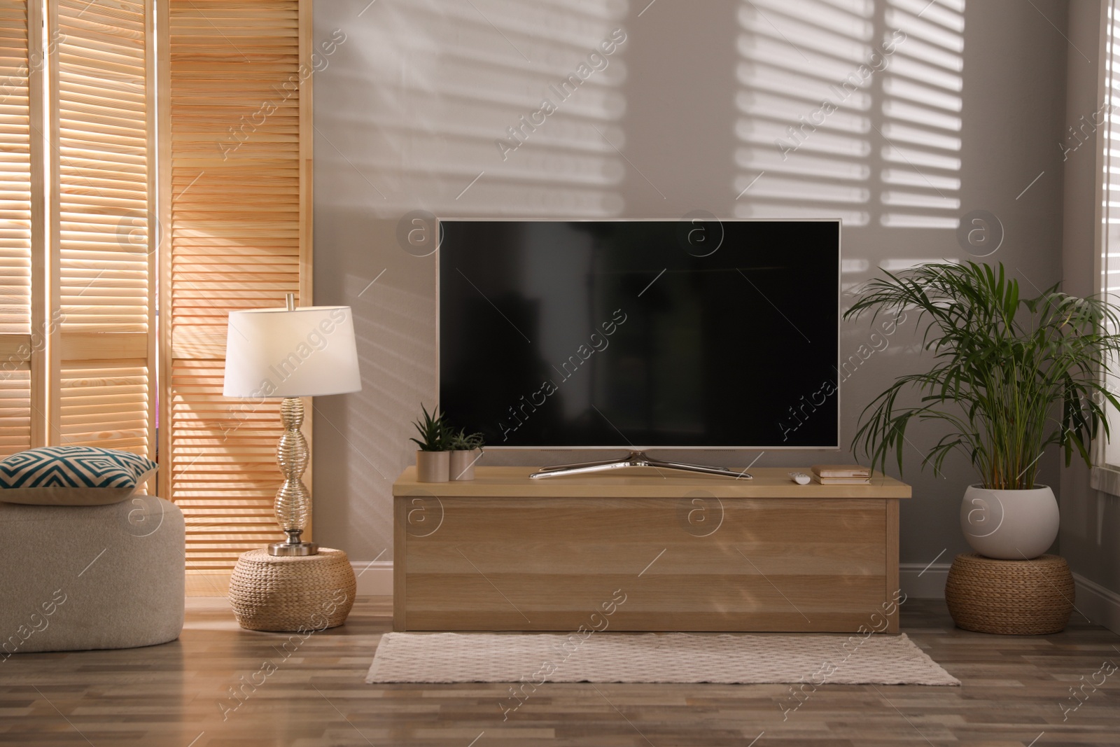 Photo of Stylish living room interior with TV on cabinet and houseplant