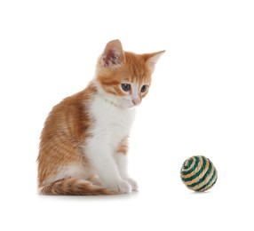 Photo of Cute kitten with ball on white background. Pet toy
