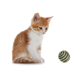 Cute kitten with ball on white background. Pet toy