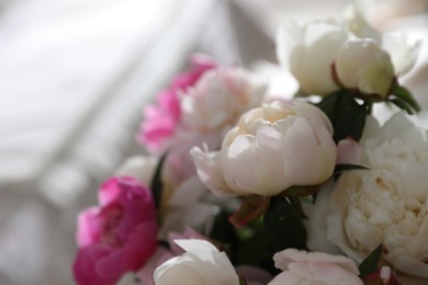 Photo of Beautiful blooming peonies against blurred background, closeup