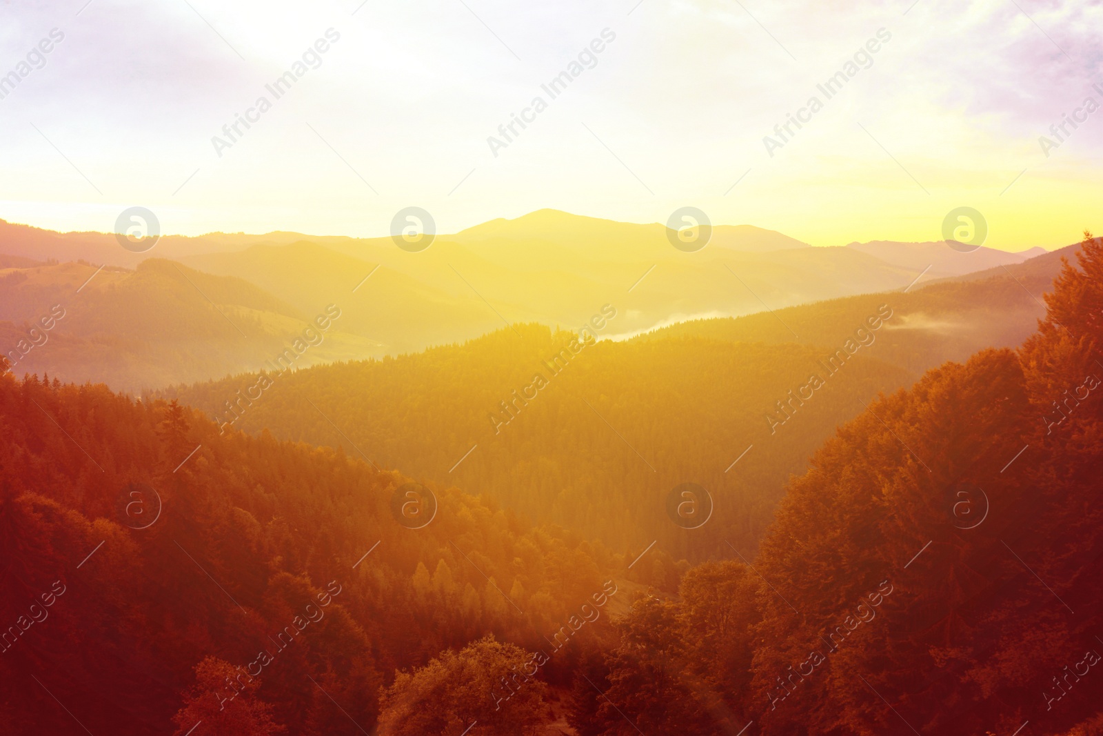 Image of Amazing view of beautiful foggy mountains in morning