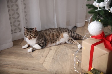 Cute cat near Christmas tree at home