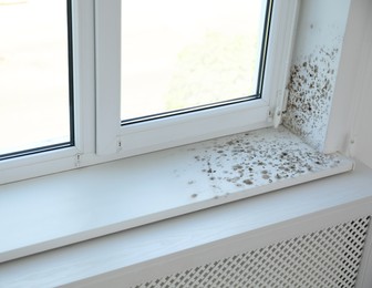 Image of Window sill and slope affected with mold in room