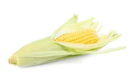 Ripe raw corn cob with husk isolated on white