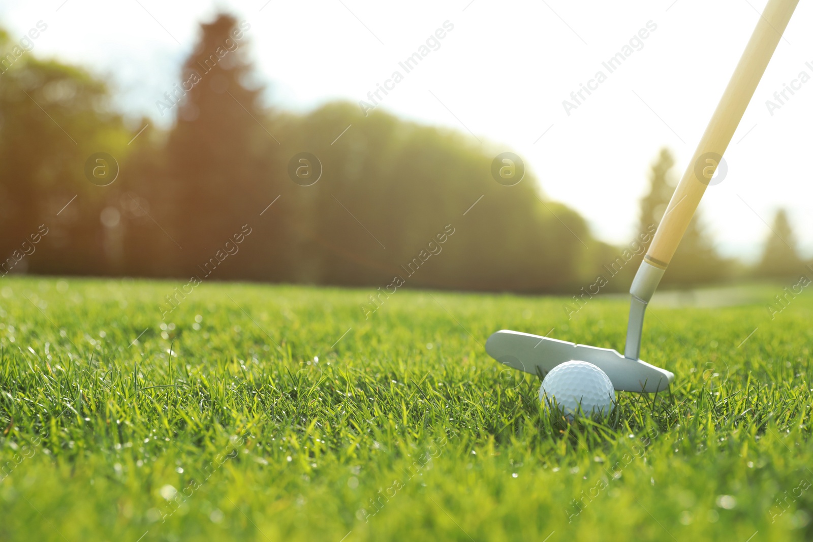 Photo of Hitting golf ball with club on green course, space for text