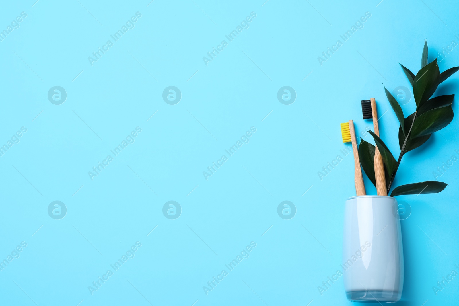 Photo of Holder with bamboo toothbrushes on light blue background, top view. Space for text