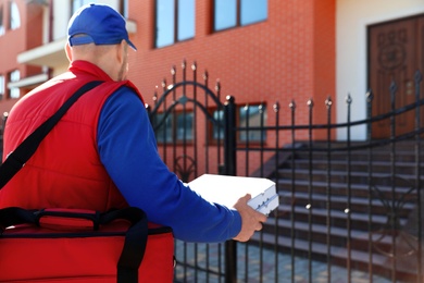 Male courier delivering food in city on sunny day