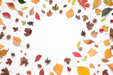 Photo of Beautiful composition with autumn leaves on white background, flat lay. Space for text