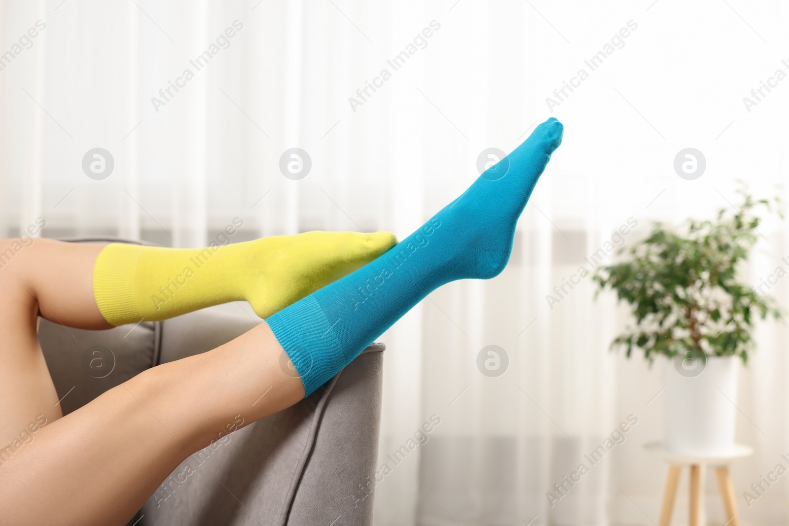 Photo of Woman in different stylish socks indoors, closeup