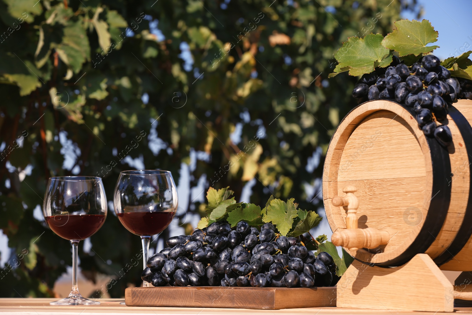 Photo of Composition with wine and ripe grapes on table outdoors