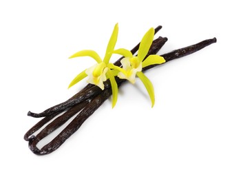 Photo of Vanilla pods and beautiful flowers isolated on white