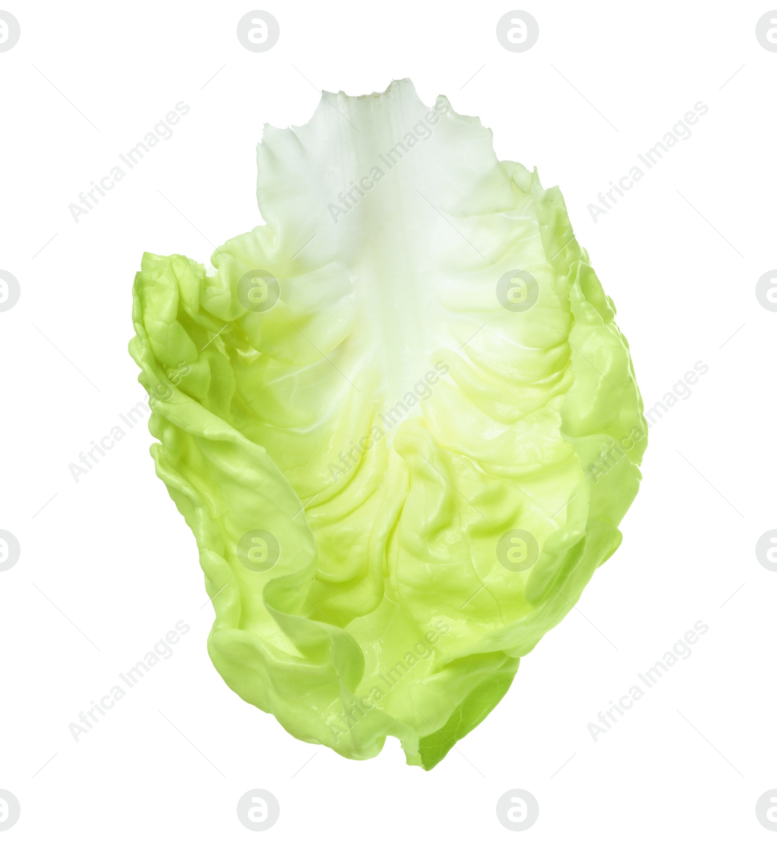 Photo of Fresh leaf of butter lettuce isolated on white