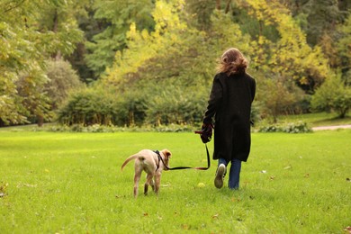 Photo of Woman with adorable Labrador Retriever puppy walking outdoors, back view
