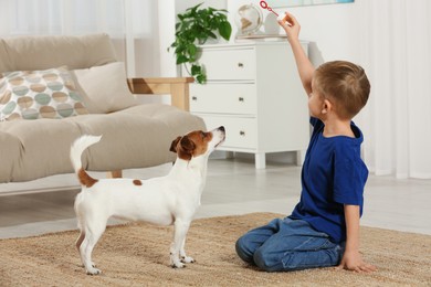 Photo of Little boy playing with his cute dog at home. Adorable pet