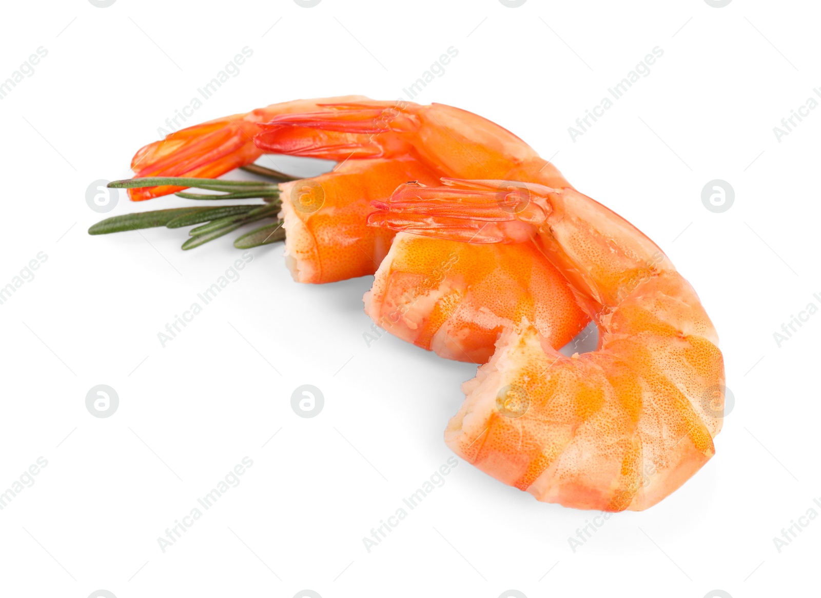 Photo of Delicious cooked shrimps and rosemary isolated on white