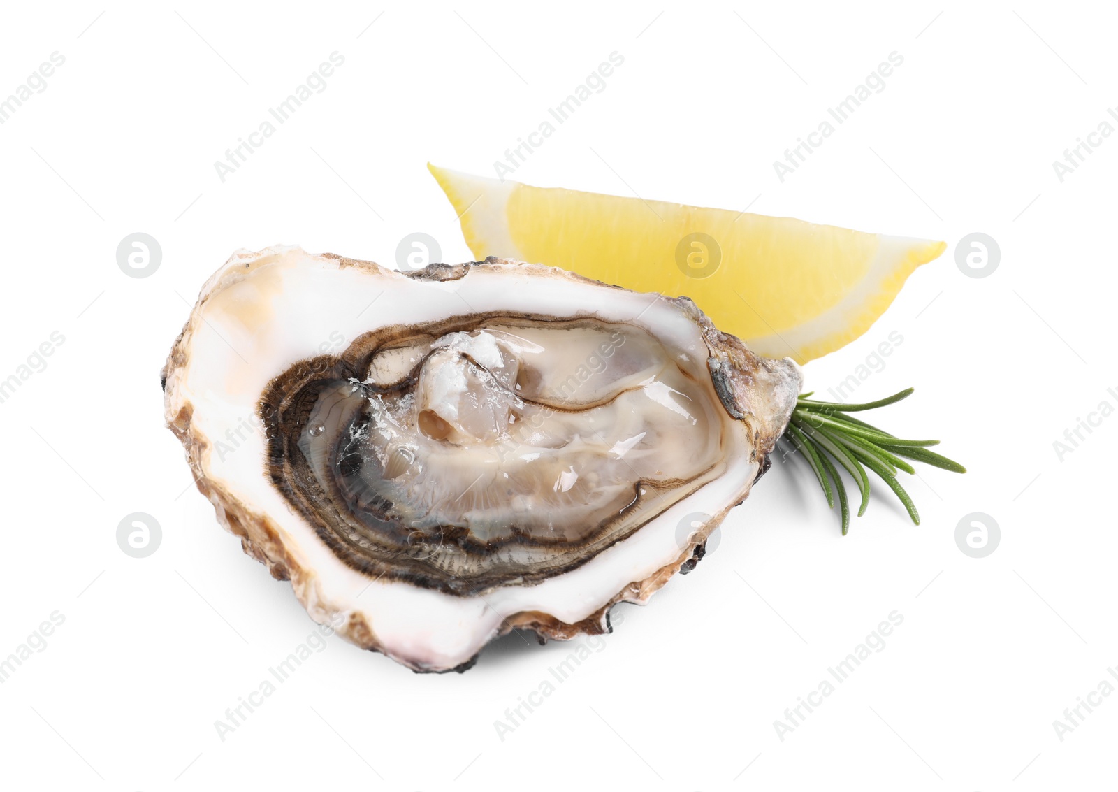 Photo of Fresh raw oyster served on white background