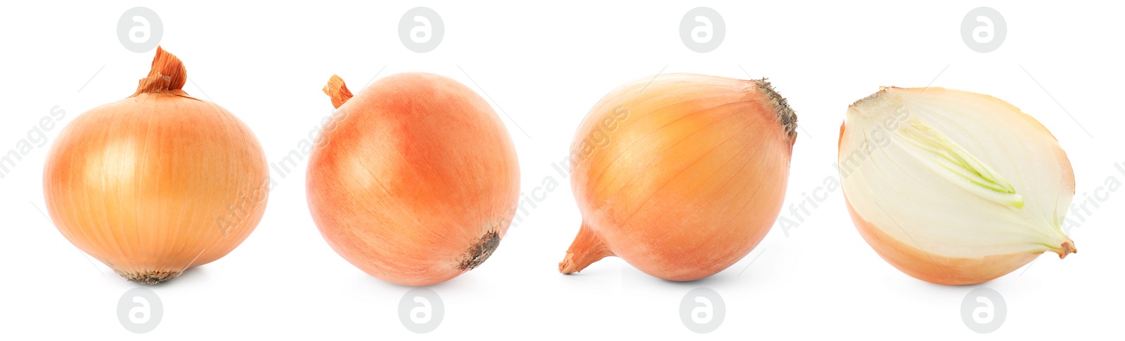 Image of Set of yellow cut and whole onion on white background. Banner design