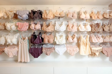 Photo of Many different beautiful women's underwear in lingerie store