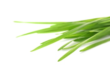 Photo of Green organic wheat grass on white background