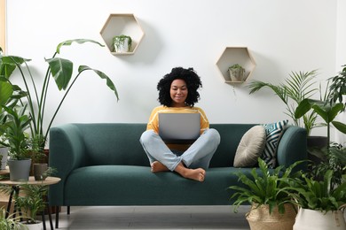 Photo of Relaxing atmosphere. Happy woman with laptop on sofa surrounded by beautiful houseplants in room