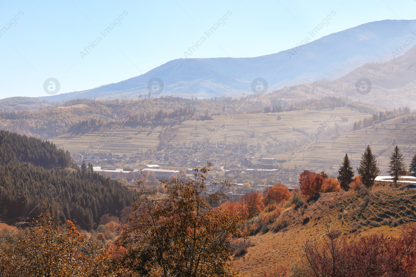 Photo of Picturesque landscape with forest and mountains