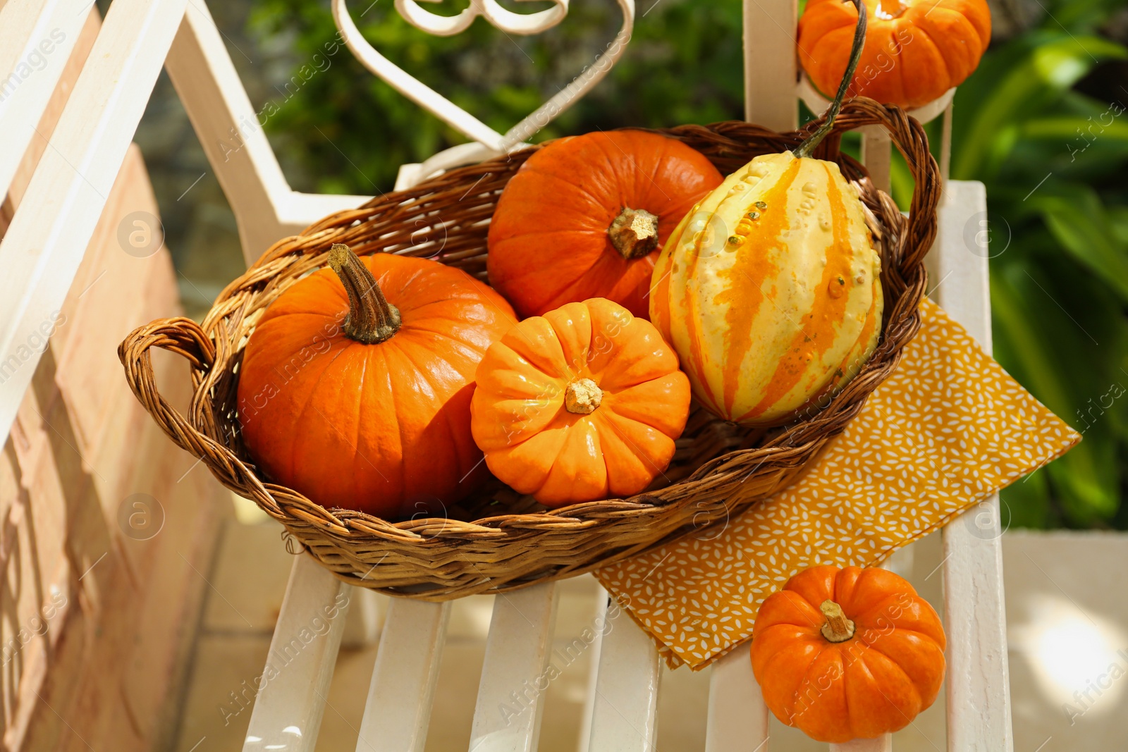 Photo of Wicker basket with whole ripe pumpkins on white wooden bench outdoors