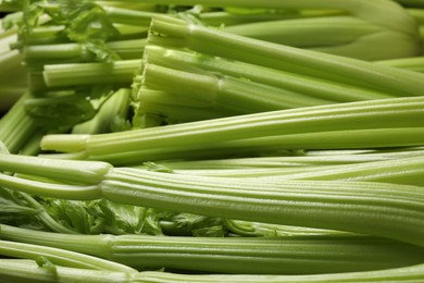Many fresh green celery bunches as background, closeup