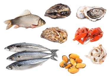 Collage with different seafood on white background