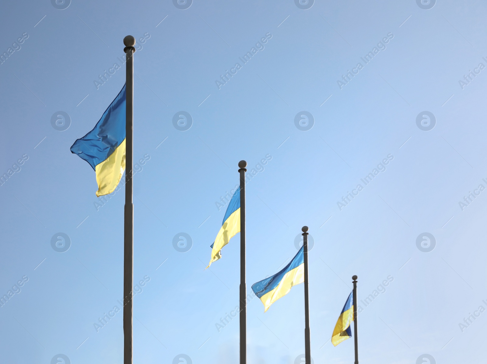 Photo of National flags of Ukraine against clear blue sky