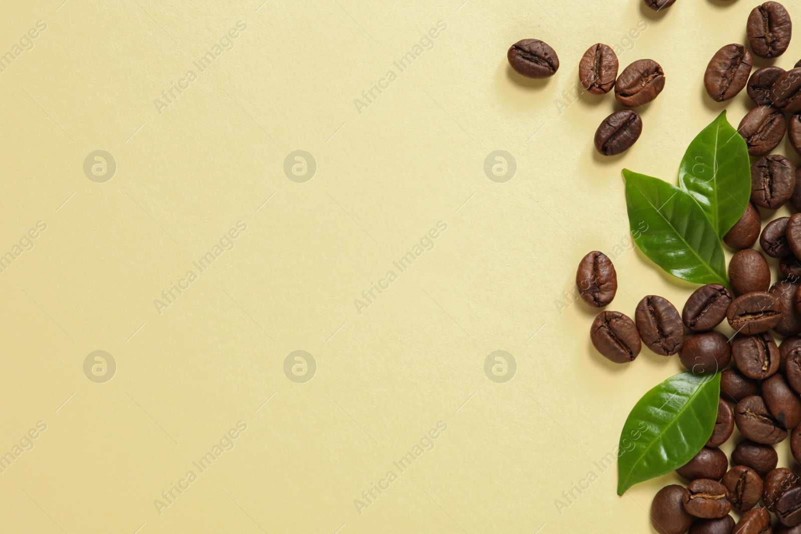 Photo of Fresh green coffee leaves and beans on light yellow background, flat lay. Space for text