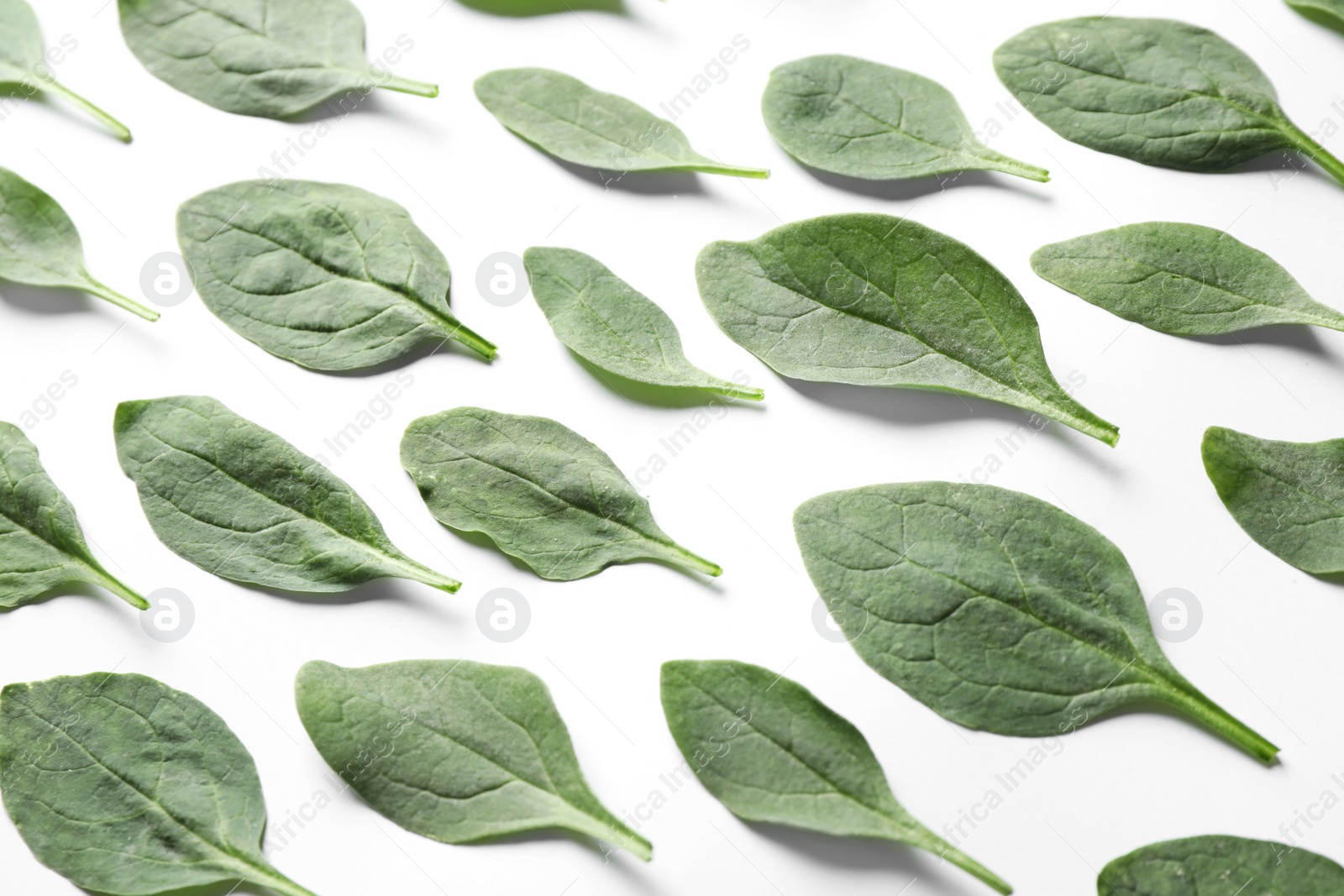 Photo of Fresh green healthy spinach leaves on white background