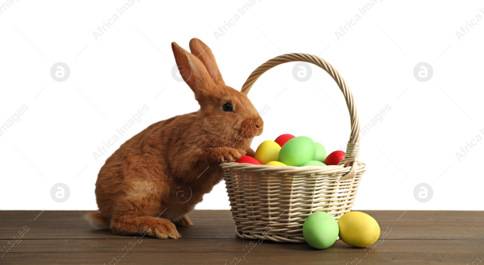 Photo of Cute bunny and basket with Easter eggs on wooden table against white background