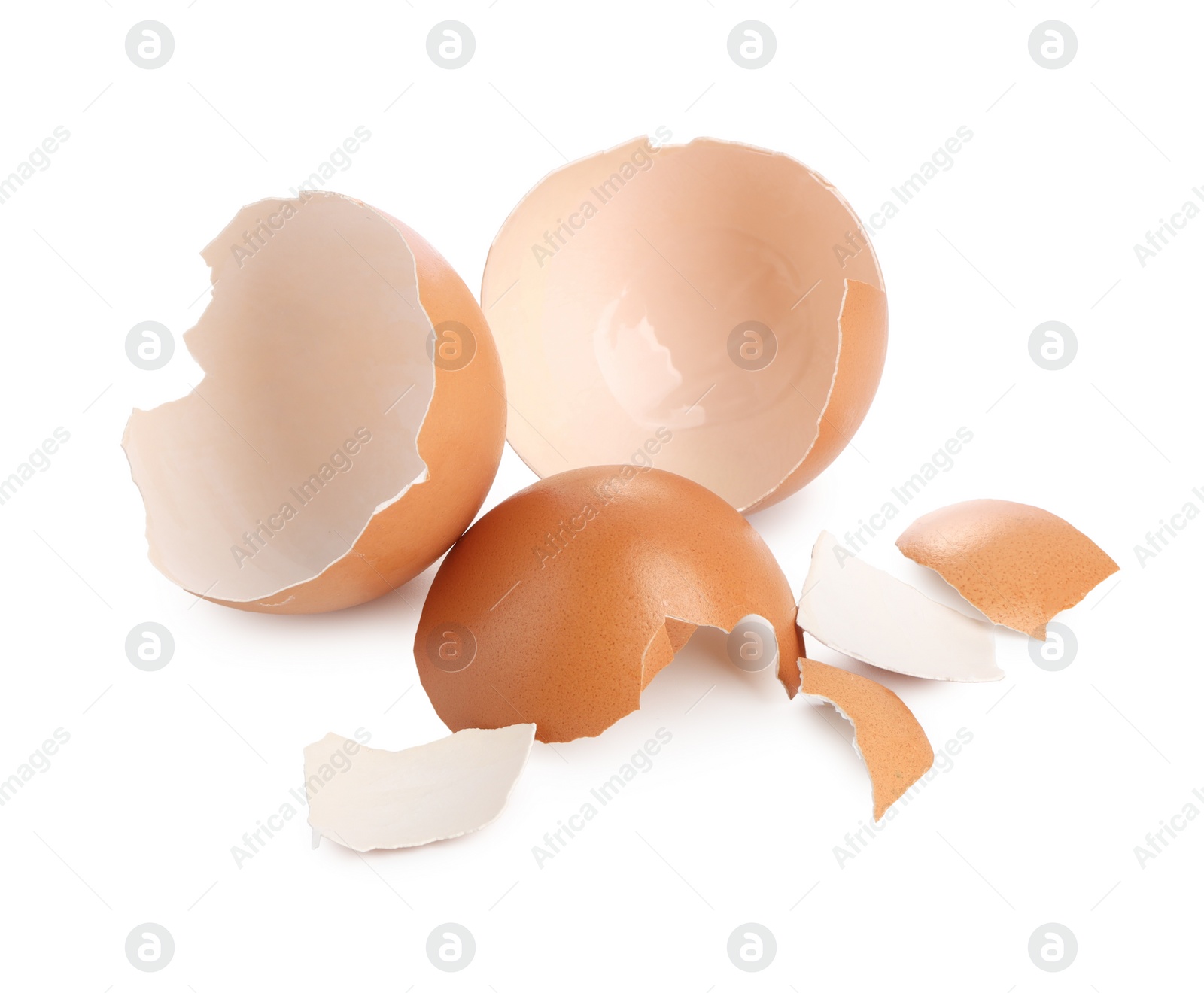 Photo of Shells of chicken egg isolated on white