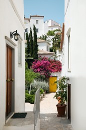 Photo of City street with beautiful buildings and blooming plants on sunny day