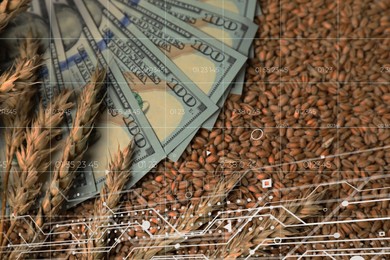 Grain prices. Ears of wheat, seeds, money and graph, double exposure