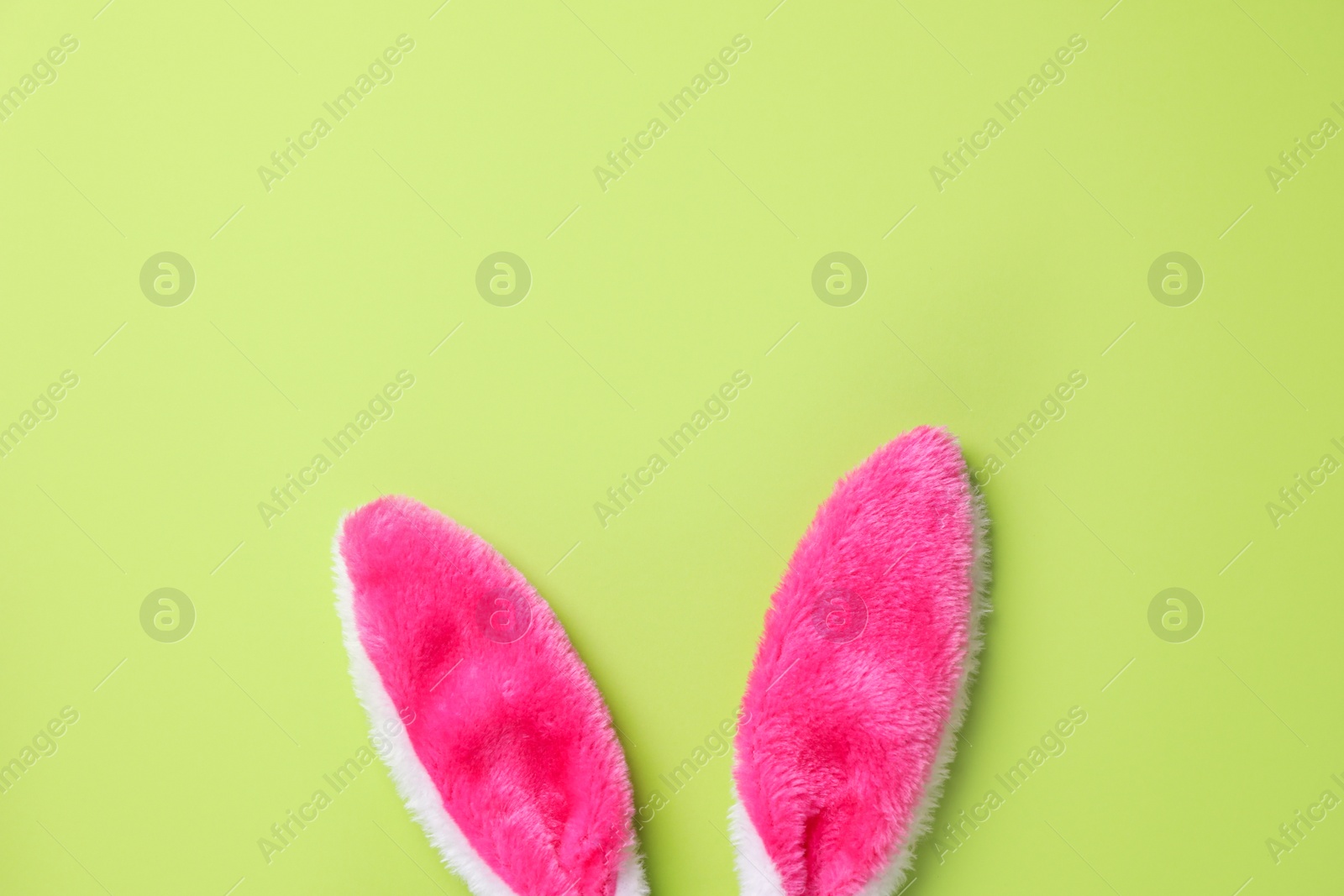 Photo of Easter bunny ears on green background, top view. Space for text