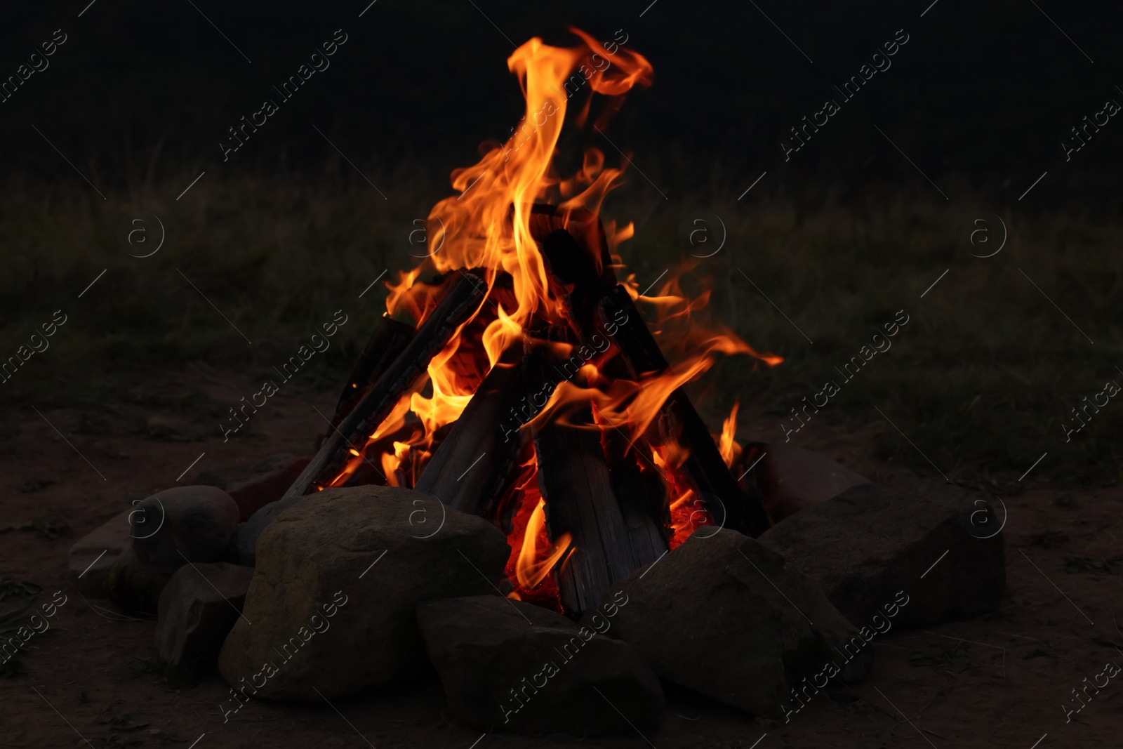 Photo of Beautiful bonfire with burning firewood outdoors at night. Camping season