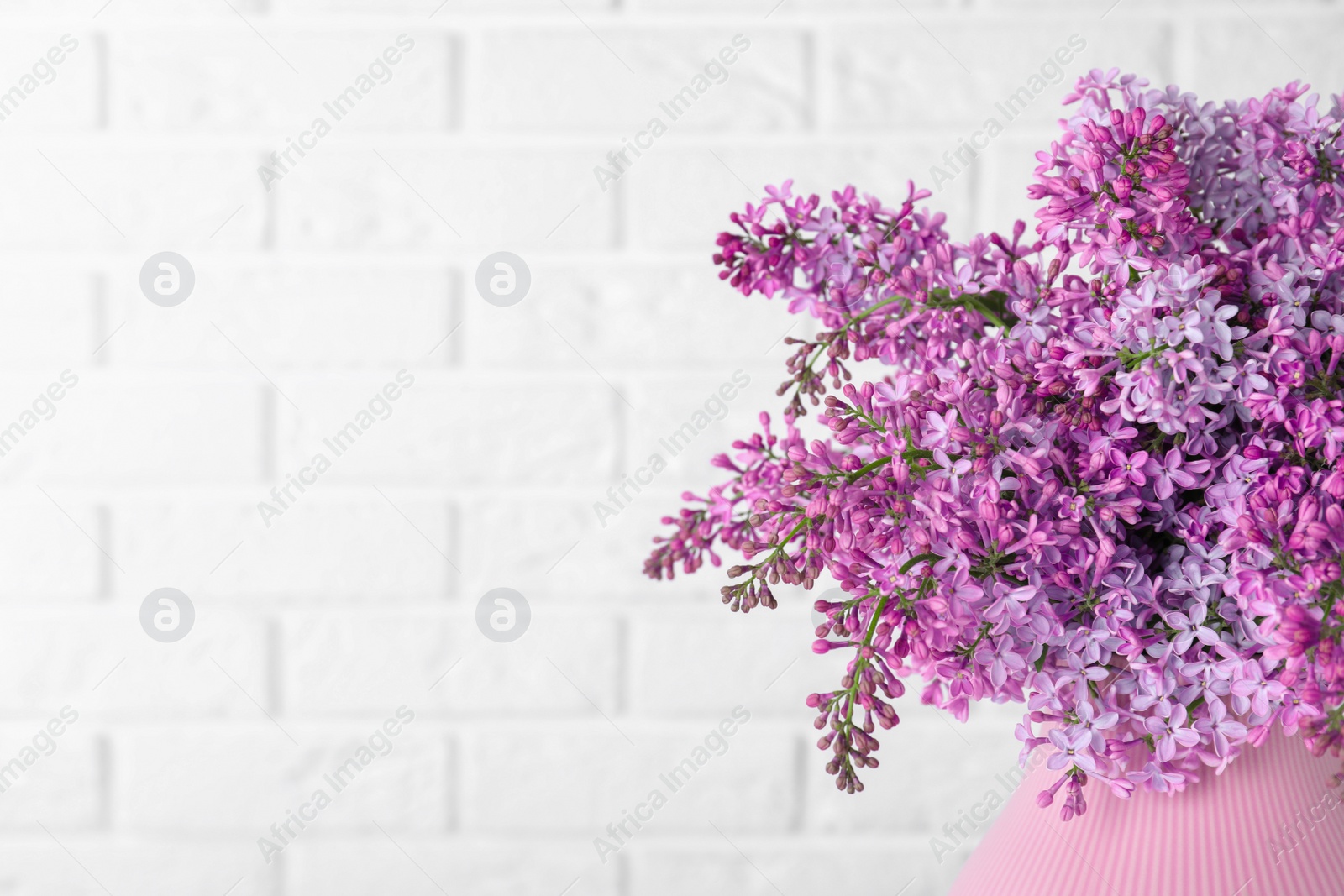 Photo of Blossoming lilac flowers in vase on light background, closeup. Space for text