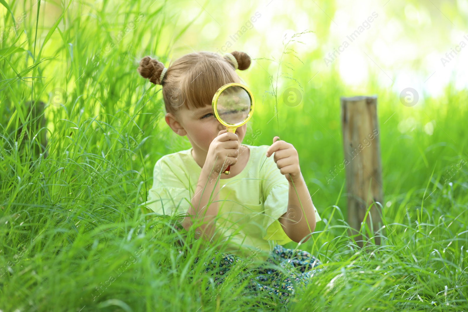 Photo of Little girl exploring plant outdoors. Summer camp