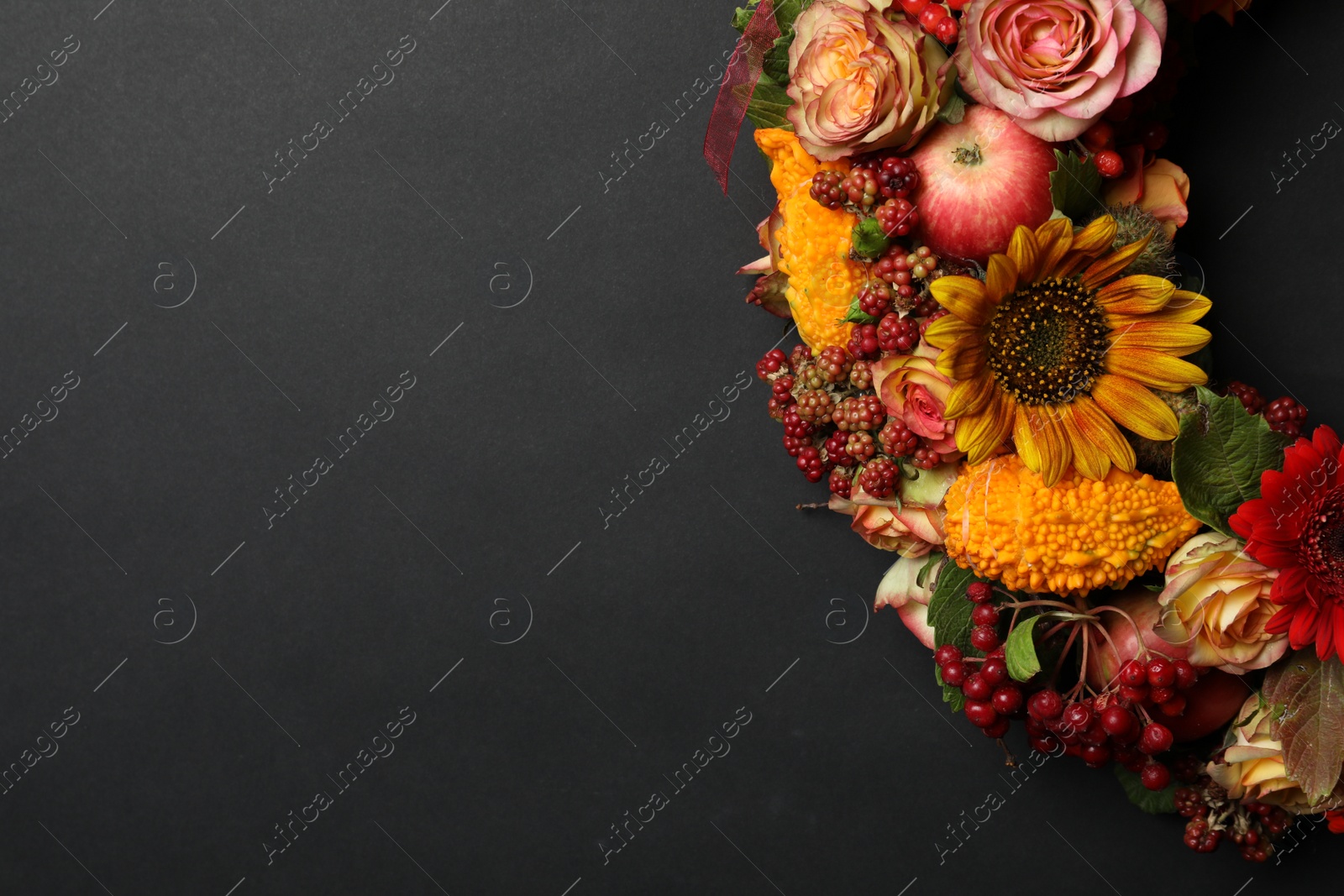 Photo of Beautiful autumnal wreath with flowers, berries and fruits on black background, closeup. Space for text