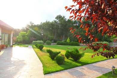 Photo of Picturesque landscape with beautiful green garden near house on sunny day