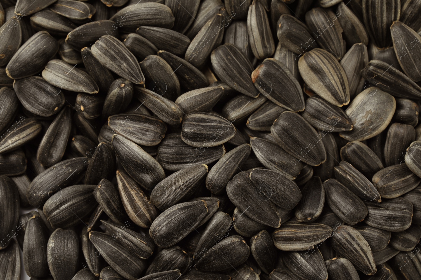 Photo of Raw sunflower seeds as background, top view