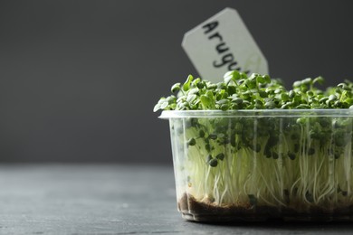 Sprouted arugula seeds in plastic container on grey table, closeup. Space for text
