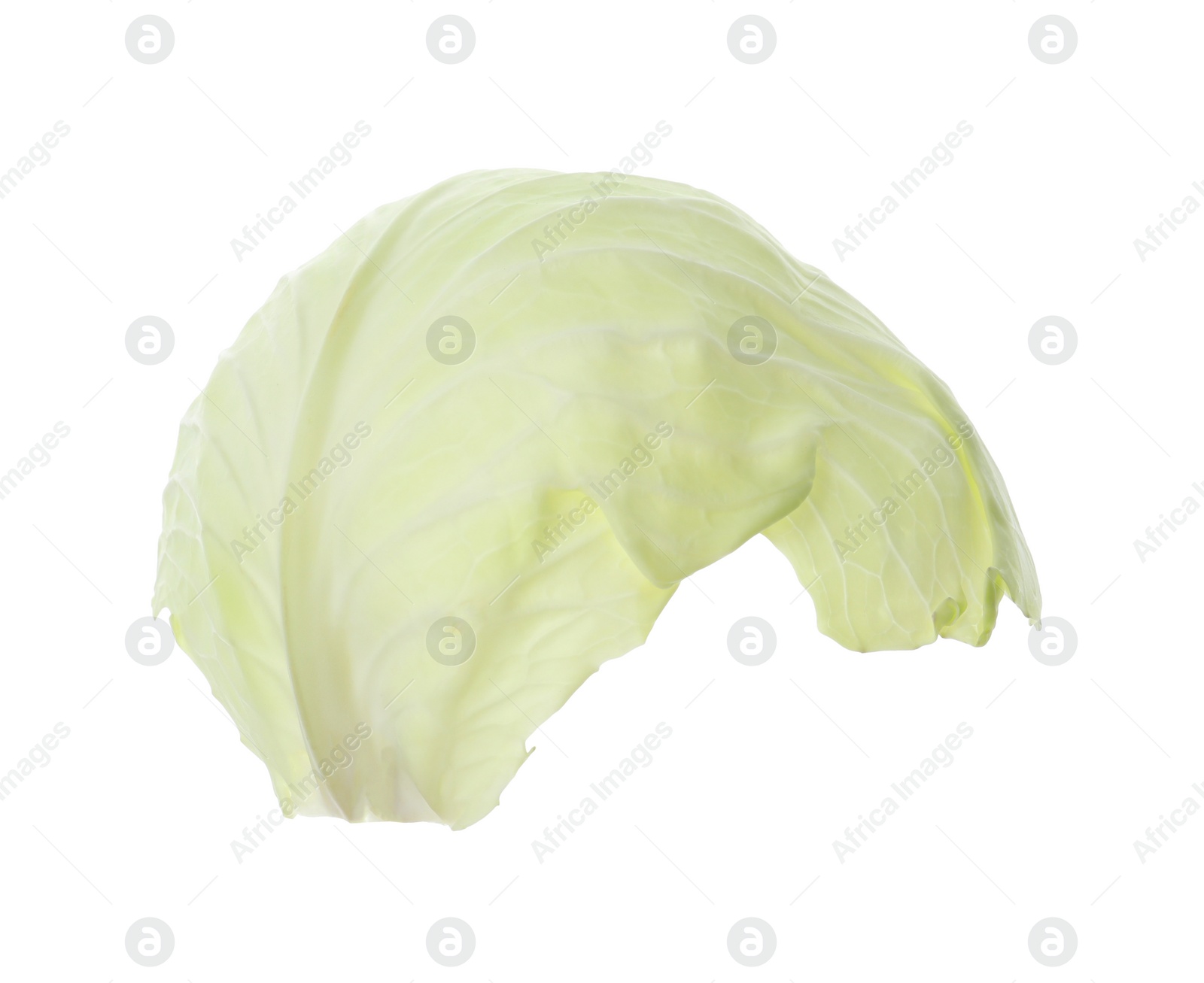 Photo of Leaf of fresh ripe cabbage isolated on white